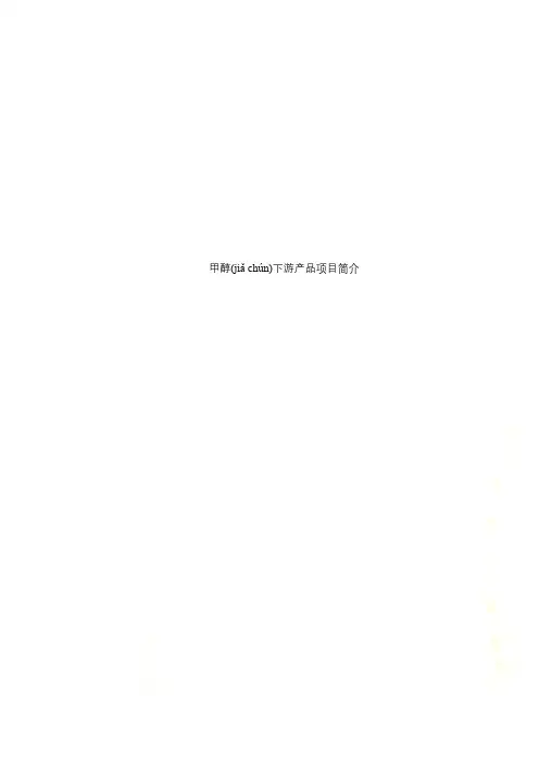 甲醇下游产品项目简介