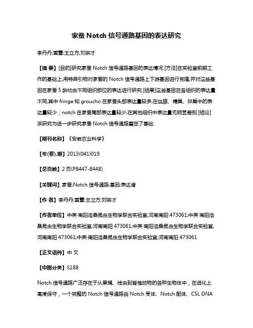 家蚕Notch信号通路基因的表达研究