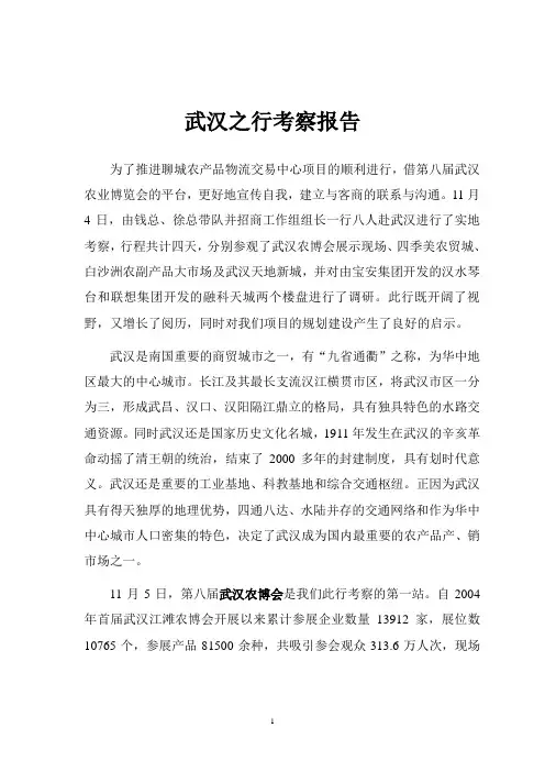 武汉之行考查报告