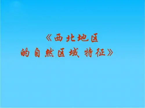 高考地理第一轮复习 中国西北地区课件