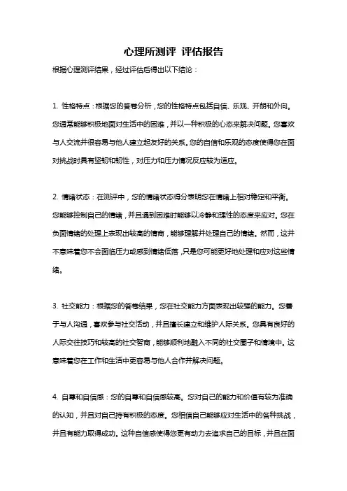 心理所测评 评估报告