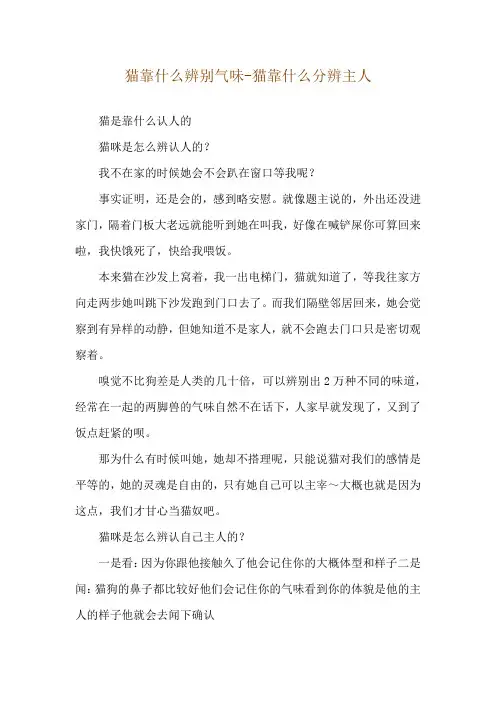 猫靠什么辨别气味-猫靠什么分辨主人