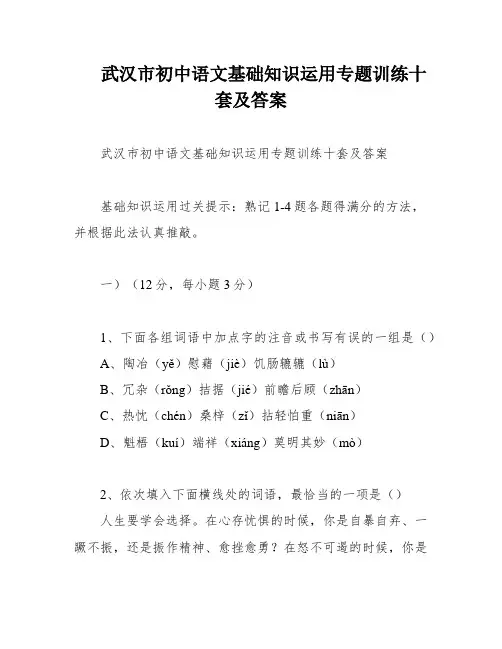 武汉市初中语文基础知识运用专题训练十套及答案