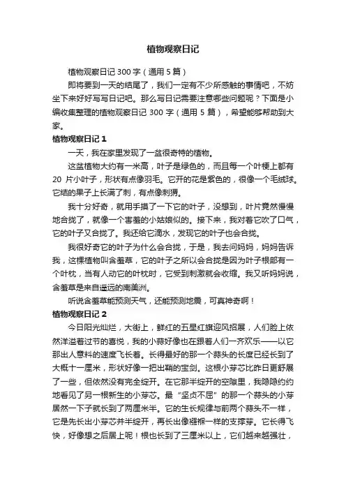 植物观察日记300字（通用5篇）