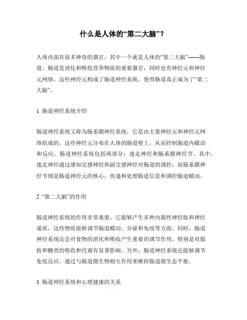 什么是人体的“第二大脑”？