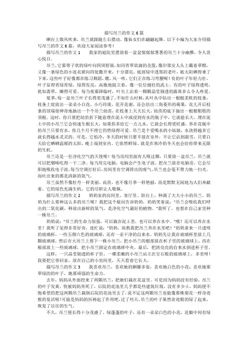 描写吊兰的作文6篇
