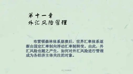外汇风险管理课件