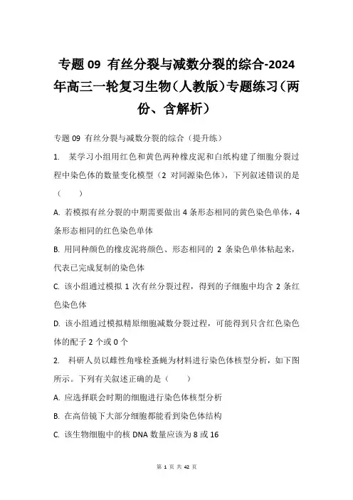 专题09 有丝分裂与减数分裂的综合-2024年高三一轮复习生物(人教版)专题练习(两份、含解析)