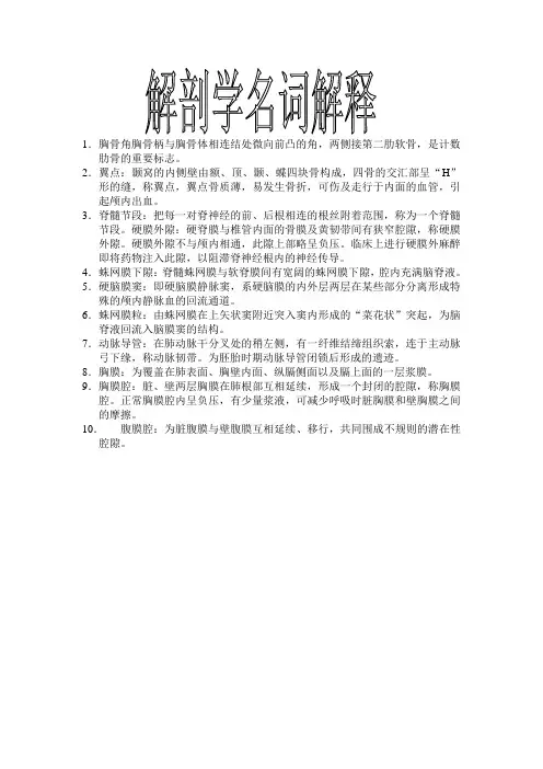 解剖学名词解释