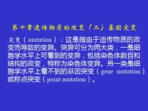 第十章遗传物质的改变(二)基因突变.ppt