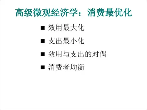 高级微观经济学课件 (12)