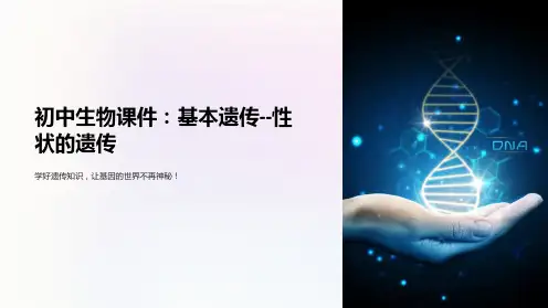 《初中生物课件：基本遗传}}性状的遗传》