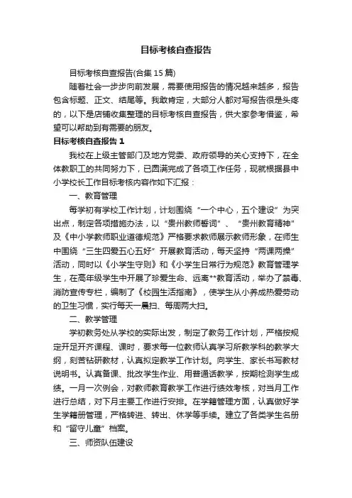 目标考核自查报告