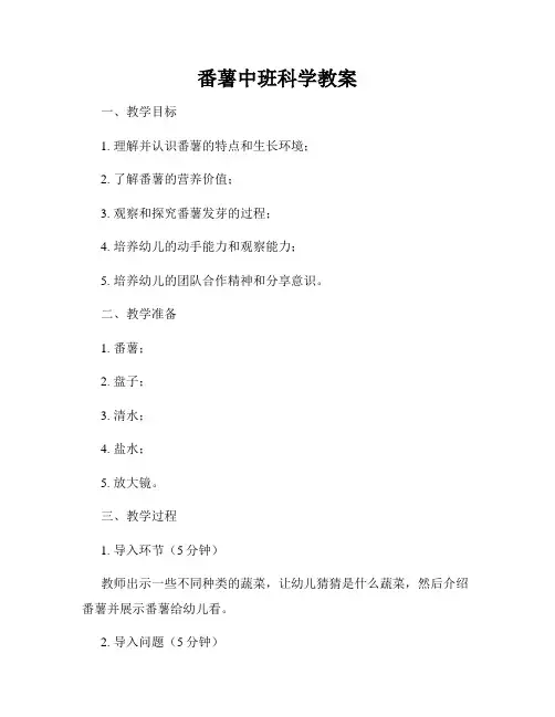 番薯中班科学教案