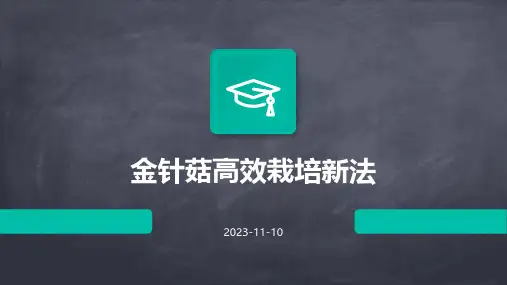 金针菇高效栽培新法