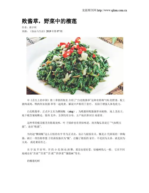 败酱草,野菜中的榴莲