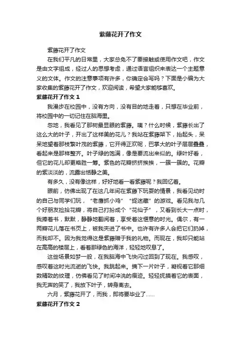 紫藤花开了作文
