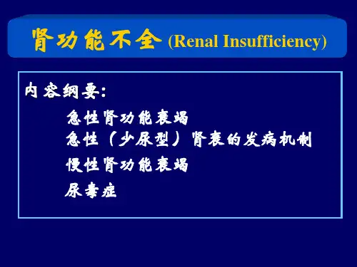 病理生理学-肾功能不全