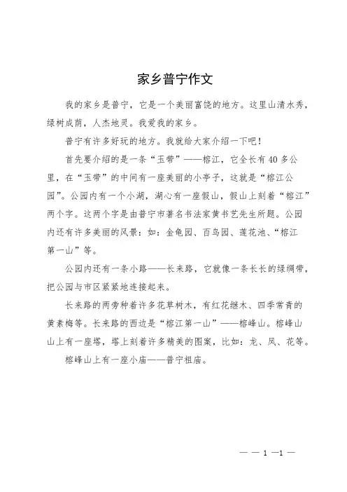 家乡普宁作文