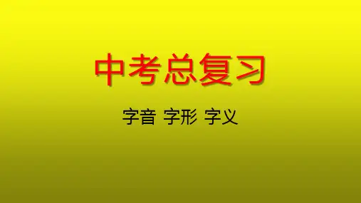 部编版2021年中考语文总复习课件——字音、字形、字义(共22张ppt)