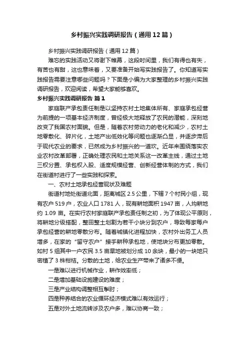 乡村振兴实践调研报告（通用12篇）