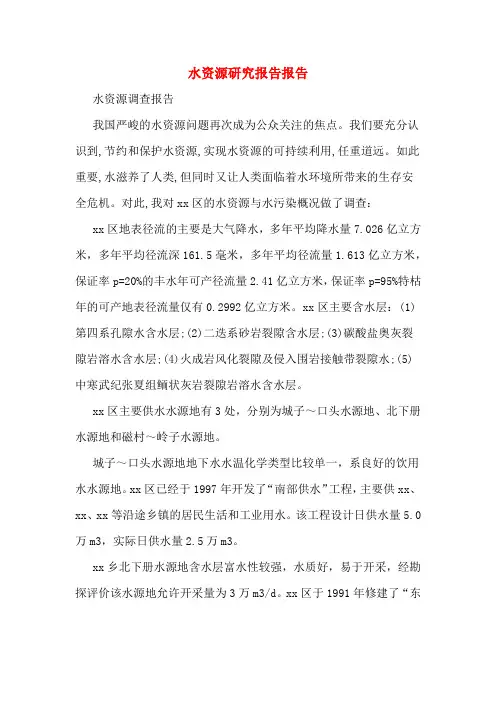 2020年水资源研究报告报告