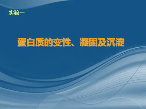 实验一蛋白质变性凝固及沉淀
