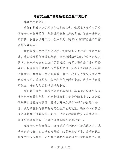 分管安全生产副总经理安全生产责任书