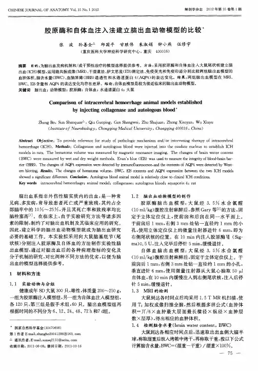 胶原酶和自体血注入法建立脑出血动物模型的比较