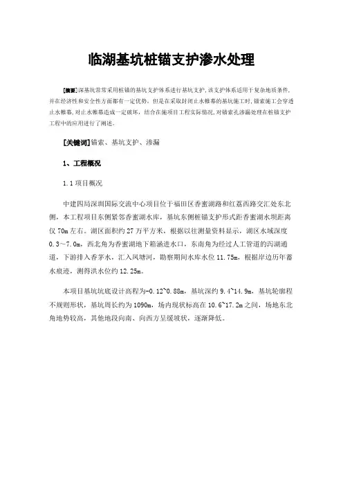 临湖基坑桩锚支护渗水处理