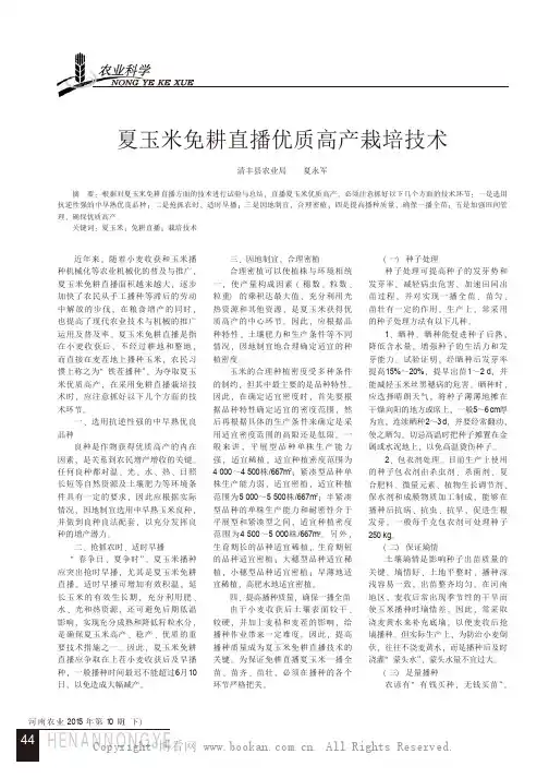 夏玉米免耕直播优质高产栽培技术