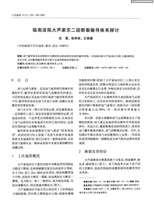 临南洼陷大芦家东二段断裂输导体系探讨