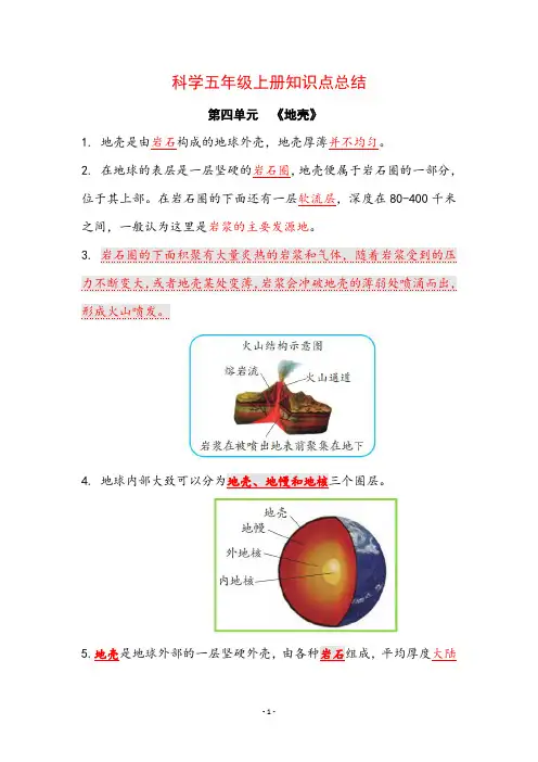小学五年级上册科学知识点总结