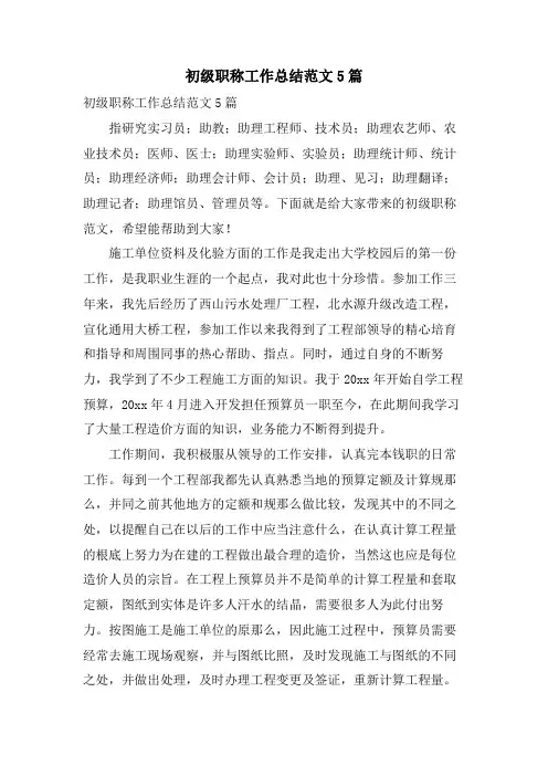 初级职称工作总结范文5篇