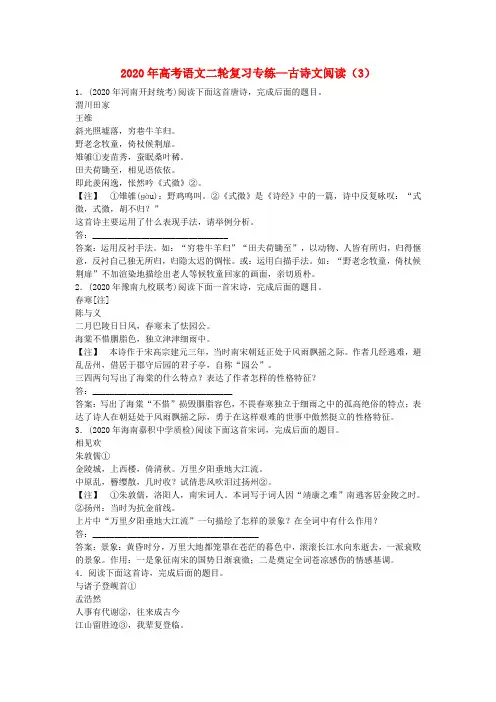 2020年高考语文二轮复习专练 古诗文阅读3