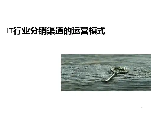 it行业分销渠道的运营模式PPT课件