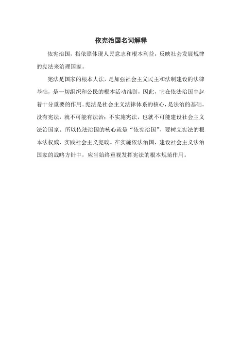 依宪治国名词解释