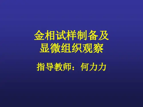 PPT下载 - 金相试样制备及显微组织观察.ppt