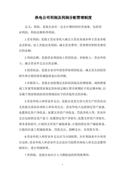 热电公司利润及利润分配管理制度