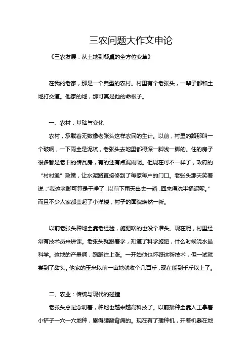 三农问题大作文申论