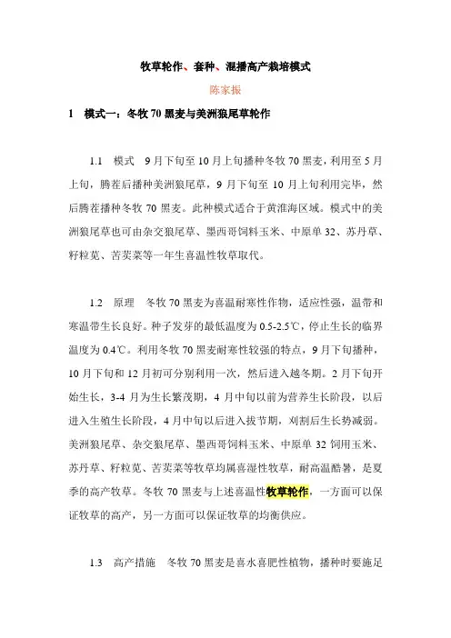 牧草轮作套种混播高产栽培模式