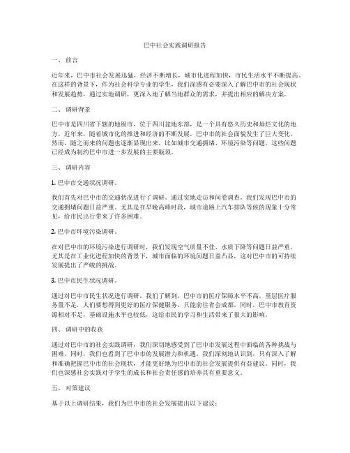 巴中社会实践调研报告