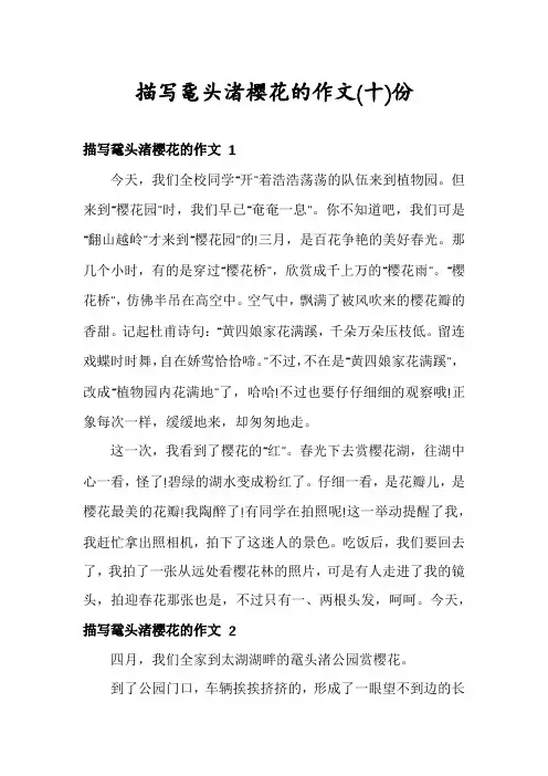 描写鼋头渚樱花的作文份