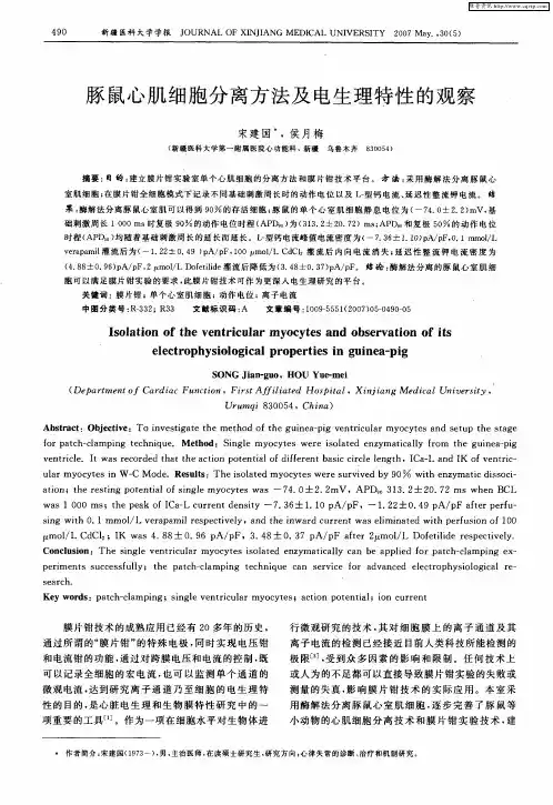 豚鼠心肌细胞分离方法及电生理特性的观察