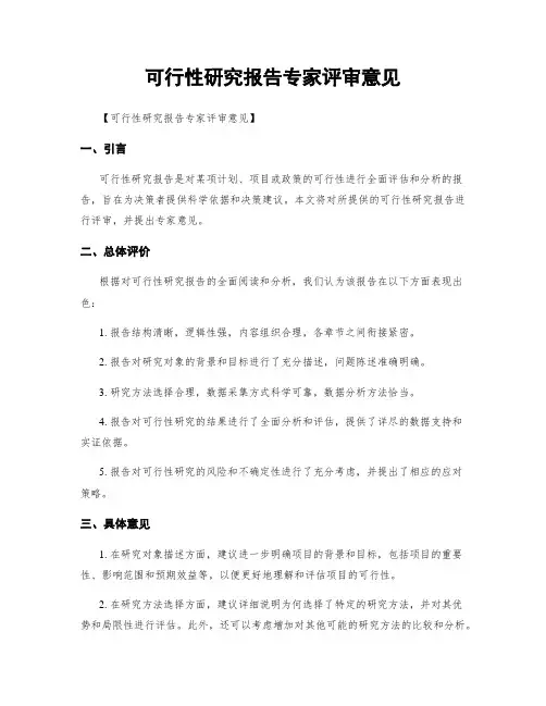 可行性研究报告专家评审意见
