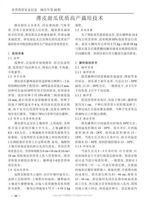 薄皮甜瓜优质高产栽培技术