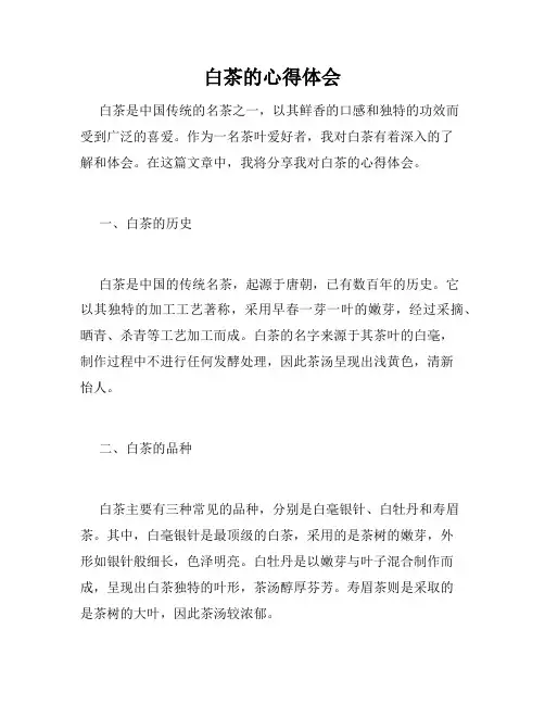 白茶的心得体会