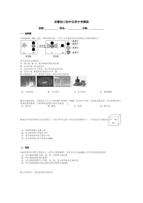 安徽初三初中化学中考模拟带答案解析
