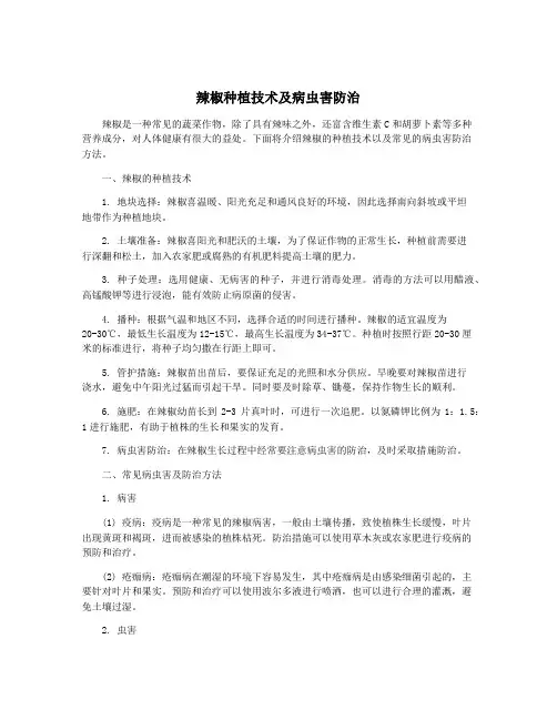 辣椒种植技术及病虫害防治