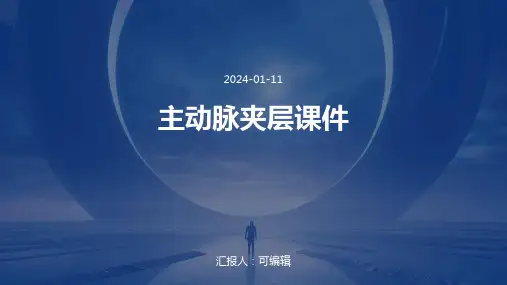 主动脉夹层课件
